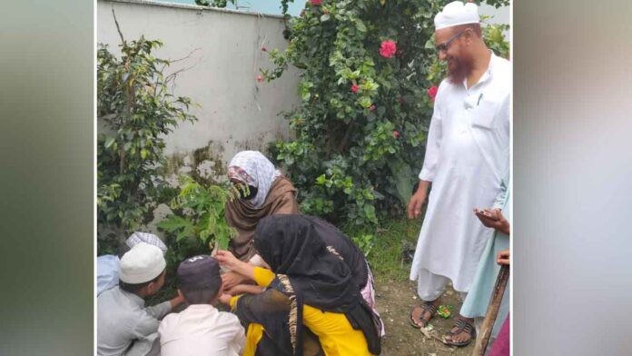 मदरसा फैजुल उलूम में हरेला पर्व हर्षोल्लास से मनाया गया मदरसा फैजुल उलूम में हरेला पर्व हर्षोल्लास से मनाया गया