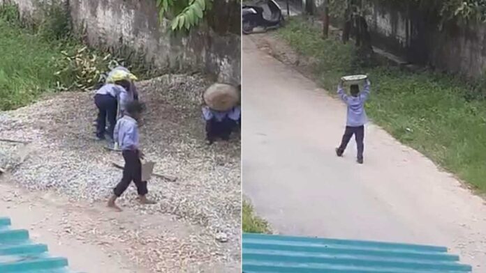 स्कूल में ‘बाल मज़दूरी’ कराना पड़ा भारी, प्रधानाचार्य निलंबित स्कूल में ‘बाल मज़दूरी’ कराना पड़ा भारी, प्रधानाचार्य निलंबित