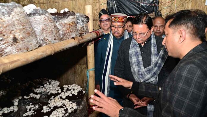मुख्यमंत्री धामी ने किया विकसित ‘मशरूम ग्राम’ परियोजना का शुभारंभ मुख्यमंत्री धामी ने किया विकसित ‘मशरूम ग्राम’ परियोजना का शुभारंभ