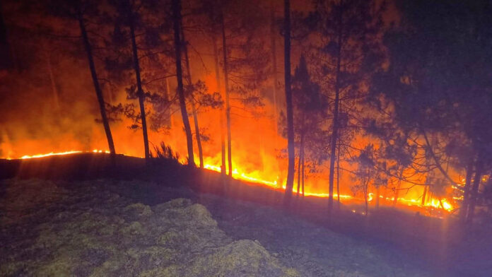 बढ़ती गर्मी के साथ विकराल रूप धारण करने लगी जंगलों की आग
