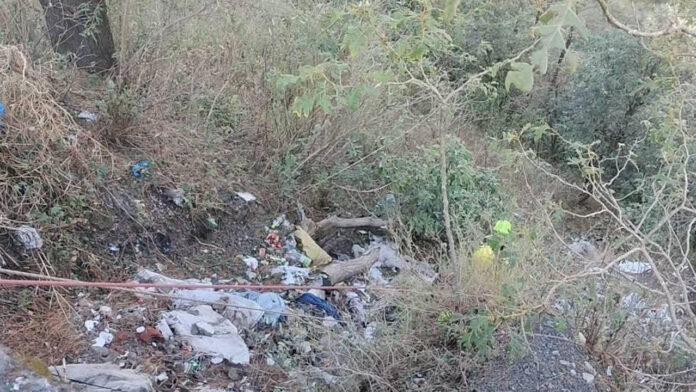 देहरादून-मसूरी मार्ग पर खाई में गिरा ट्रक, चालक की मौत, हेल्पर गंभीर