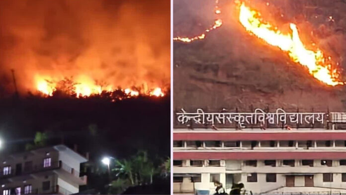 केंद्रीय संस्कृत विश्वविद्यालय परिसर तक पहुंची जंगल की आग