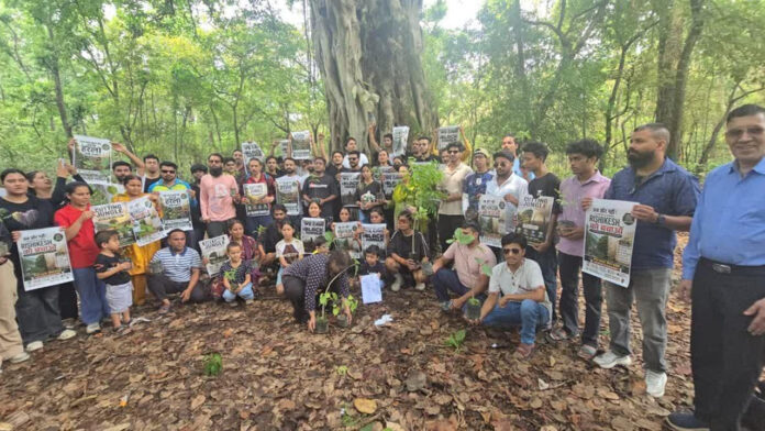 भनियावाला और ऋषिकेश मार्ग पर अब नहीं कटेंगे 3000 पेड़ भनियावाला और ऋषिकेश मार्ग पर अब नहीं कटेंगे 3000 पेड़