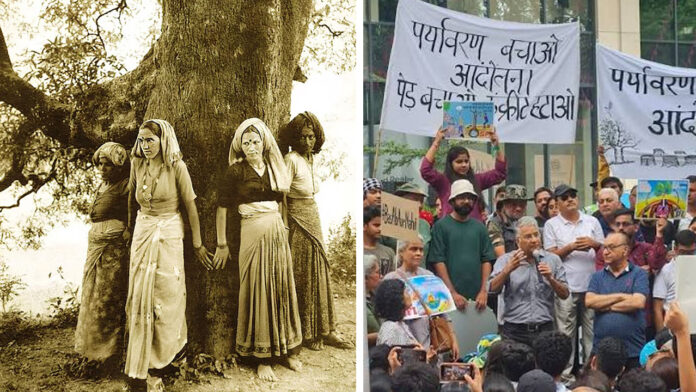 चिपको की धरती पर हरे पेड़ों के कटान का विरोध